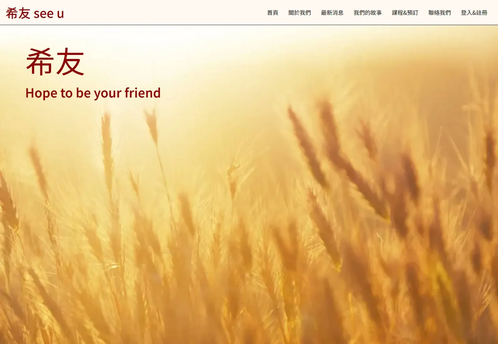 淡大-諮詢服務平台